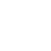FinSMEs